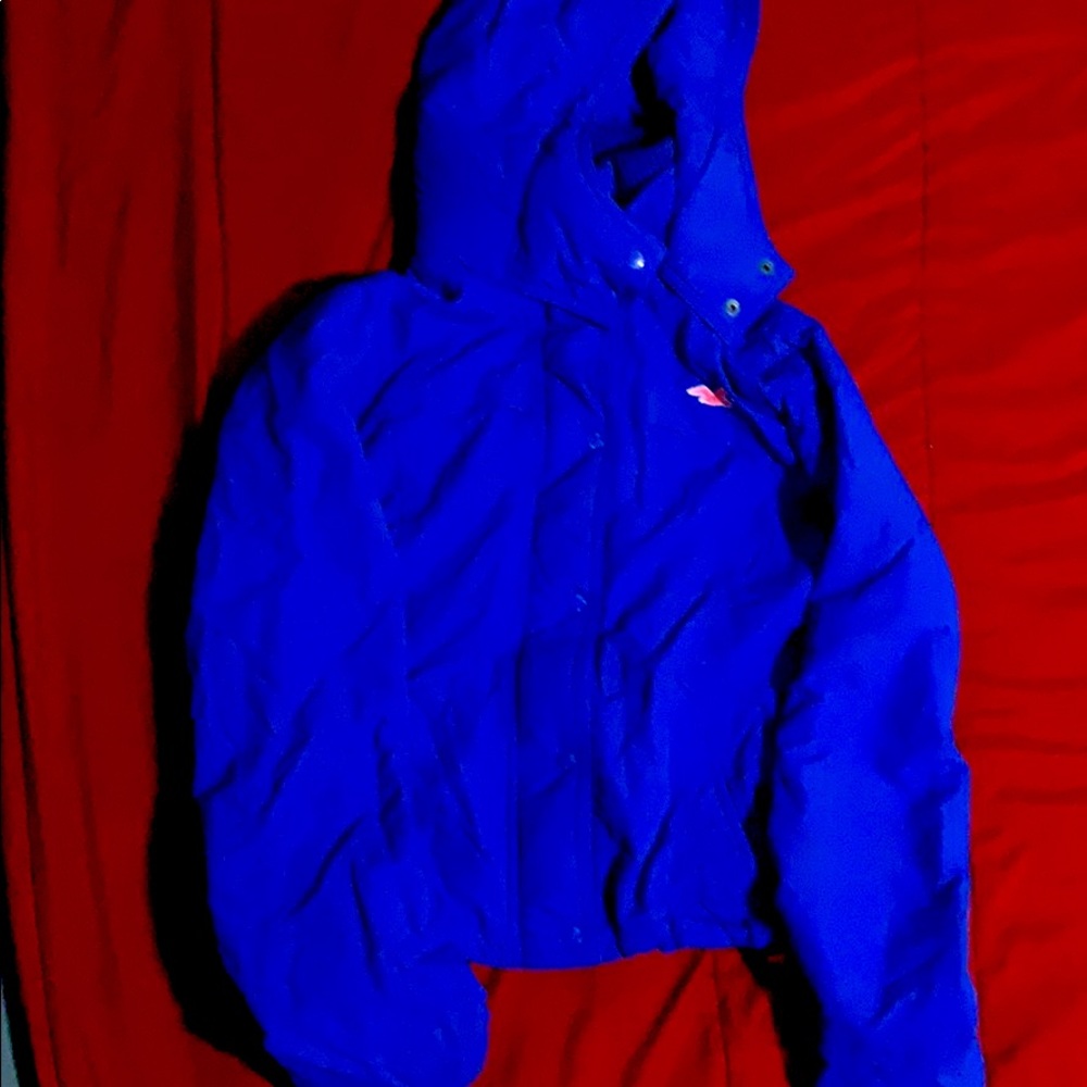 All weather Hollister Jacket